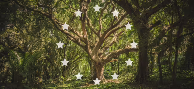 Vastuullinen sijoittaminen joukkorahoitusalustoilla 