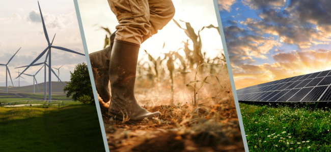 5 keskeista kriteeriä vaikuttavuus-startupeihin sijoittamiseen: opas yksityissijoittajille 