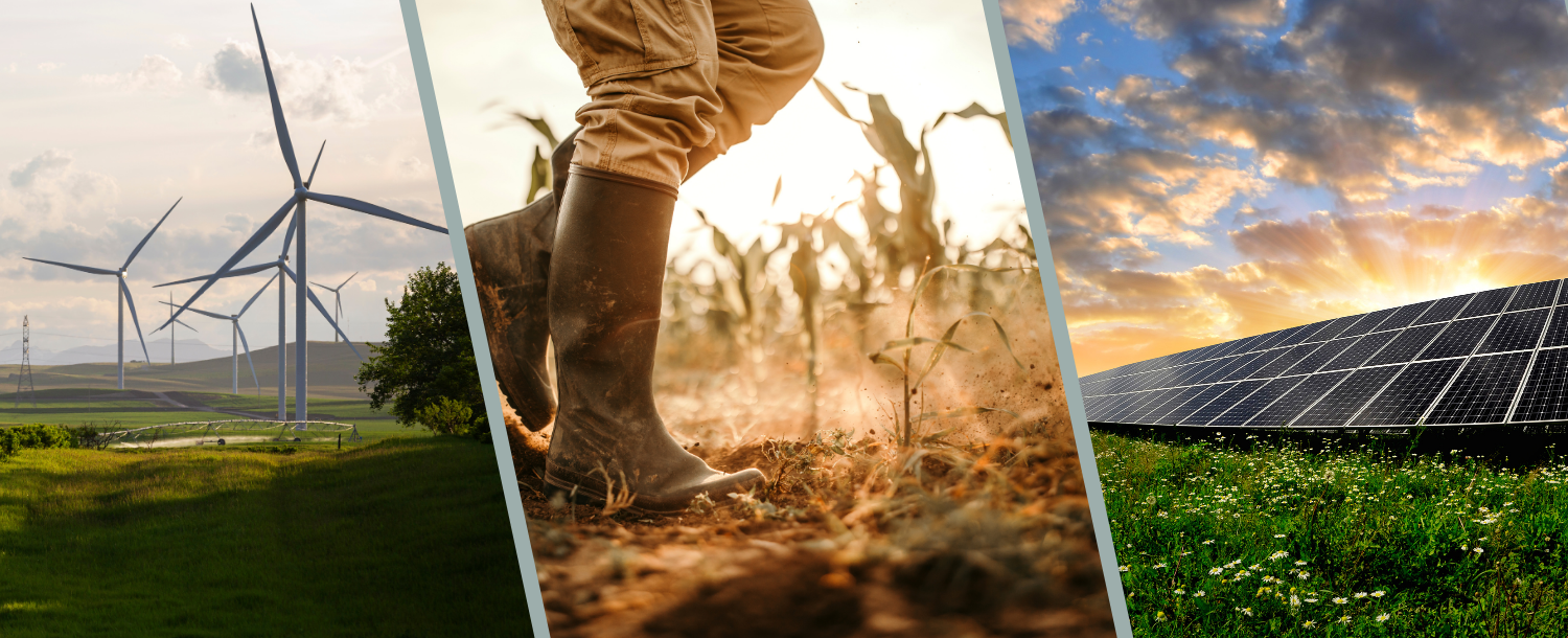 5 välttämätöntä kriteeriä vaikuttavuus-startupeihin sijoittamiseen: opas yksityissijoittajille 